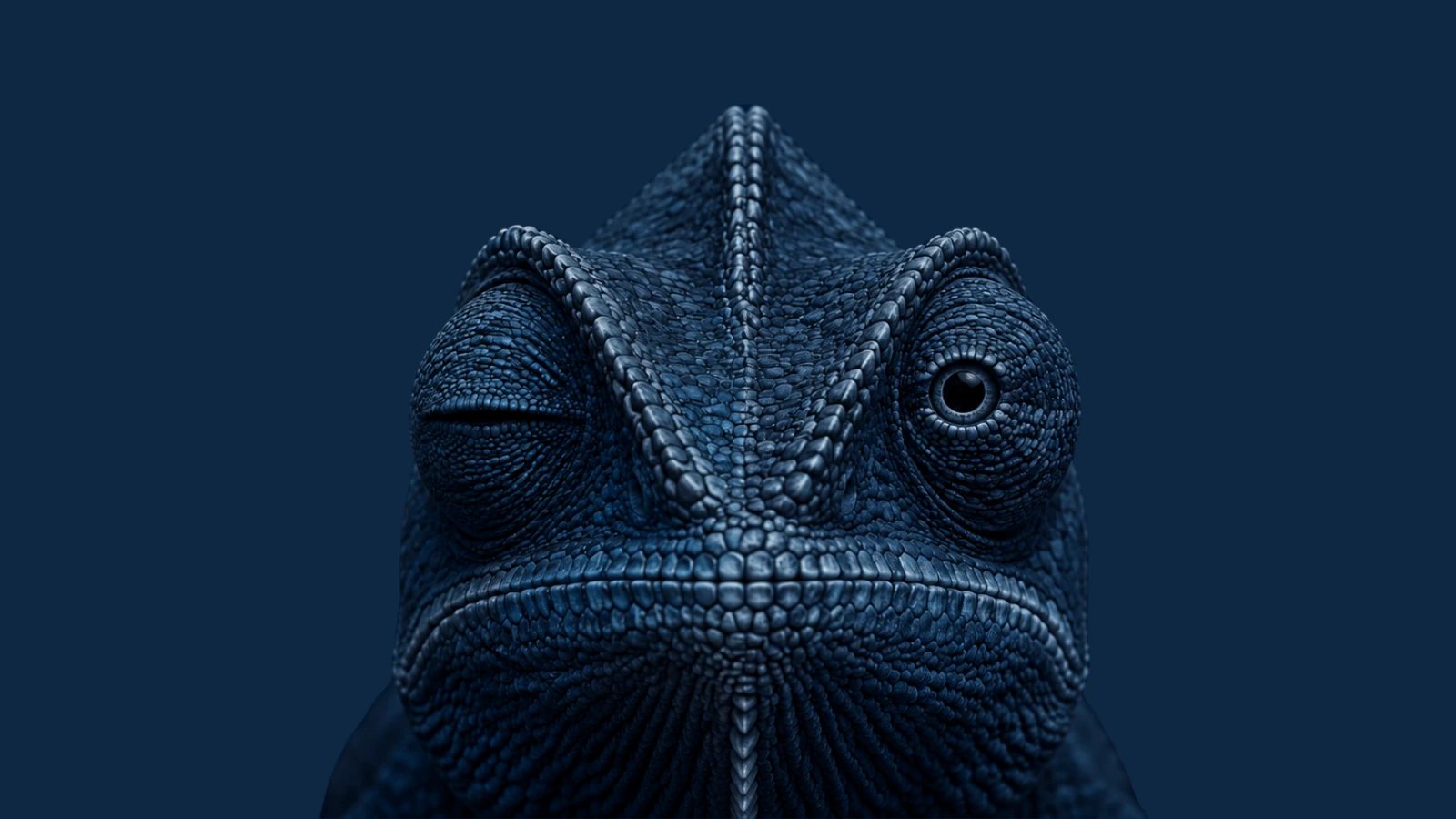 Camaleão azul sobre fundo escuro, com um dos olhos fechado.